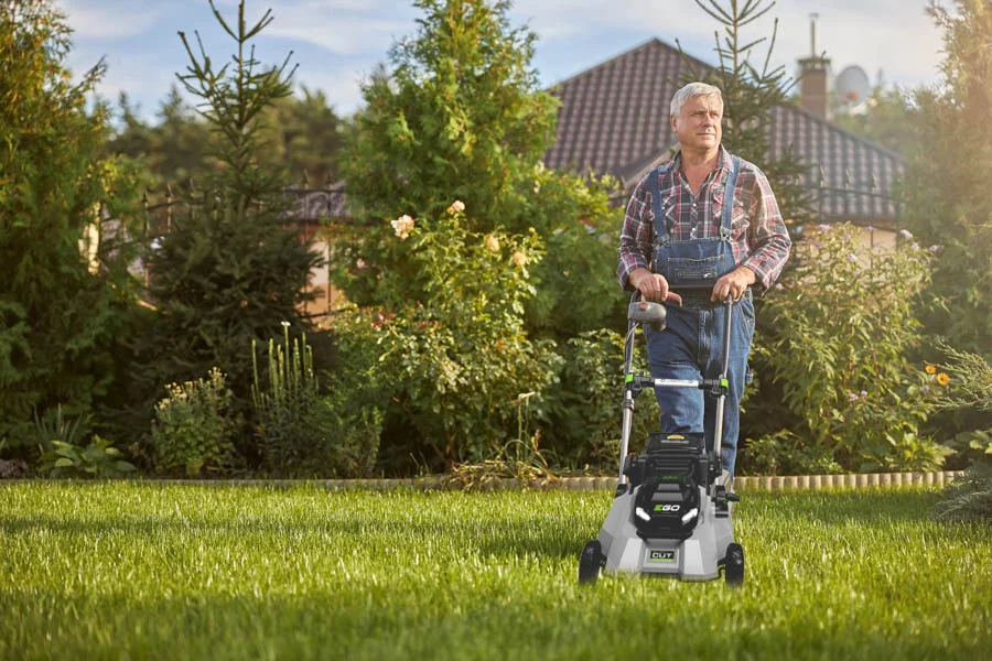 small mower