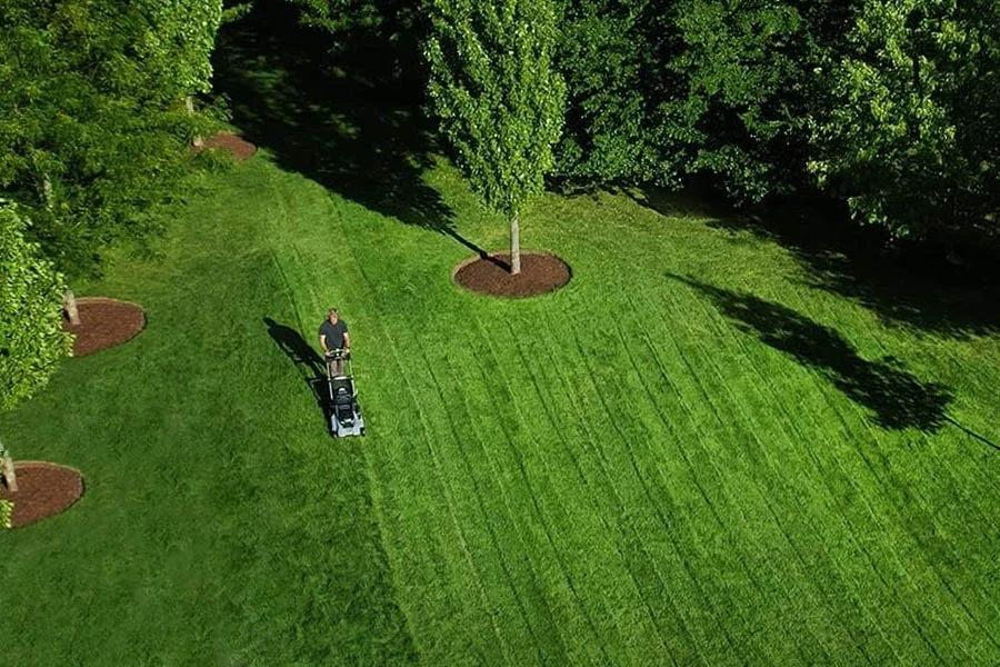 lawn mower for small yard